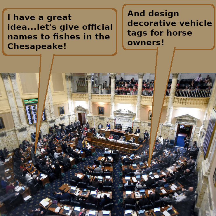 Unelected Annapolis Representatives: It’s Not Who They Are, It’s What They Do