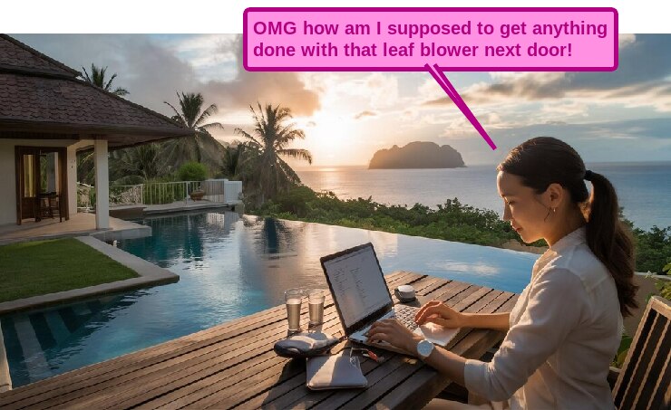 Leaf Blowers, The Sequel: a Call for Cooperation, not Coercion