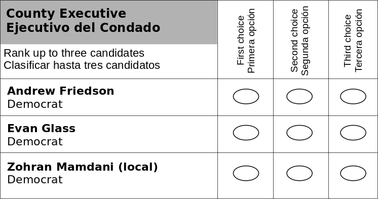 Could Ranked Choice Voting Elect a local Zohran Mamdani?